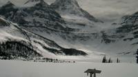 Regional District of East Kootenay › South-West: Mount Assiniboine - Current