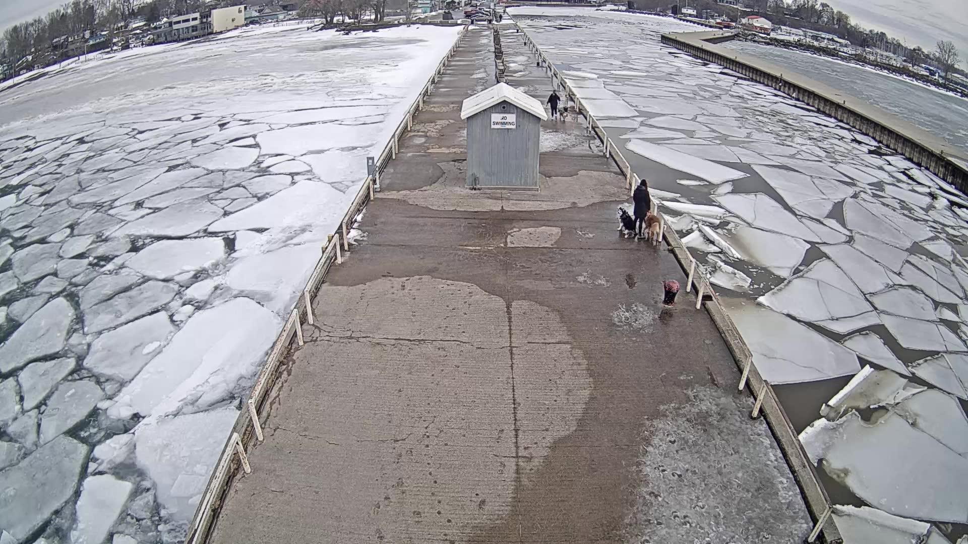 Harborview: Port Dover Webcam