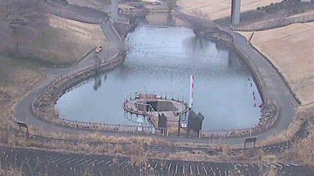 Atsugicho water Webcam