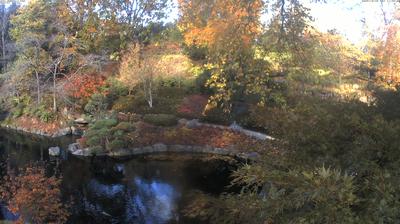 Kaiserslautern Daglicht Webcam Image