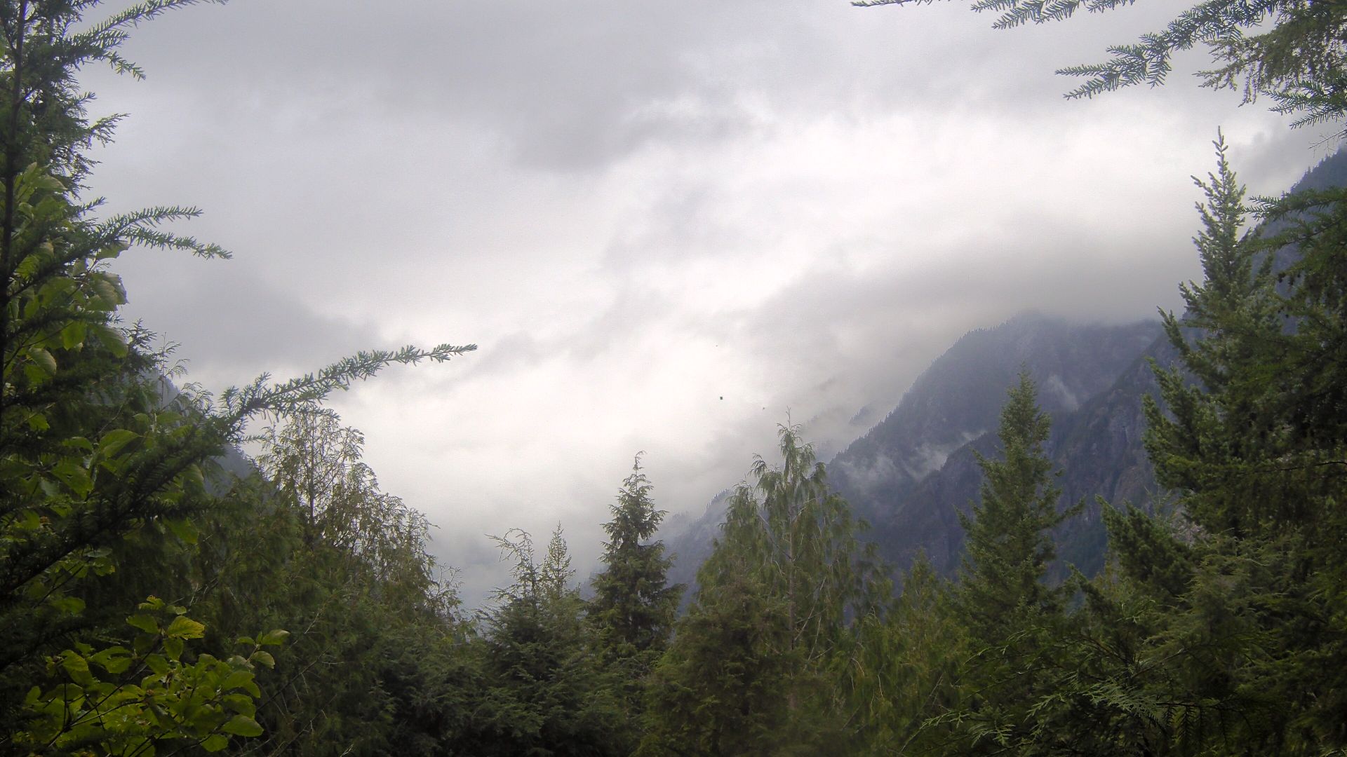 Traffic Cam Whatcom › North-West: North Cascades Visitor Center
