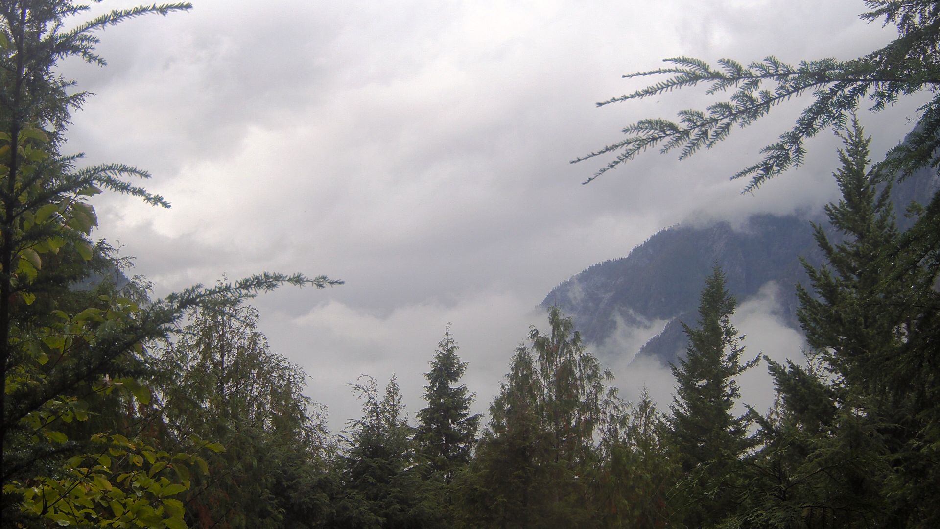 Whatcom County during daytime