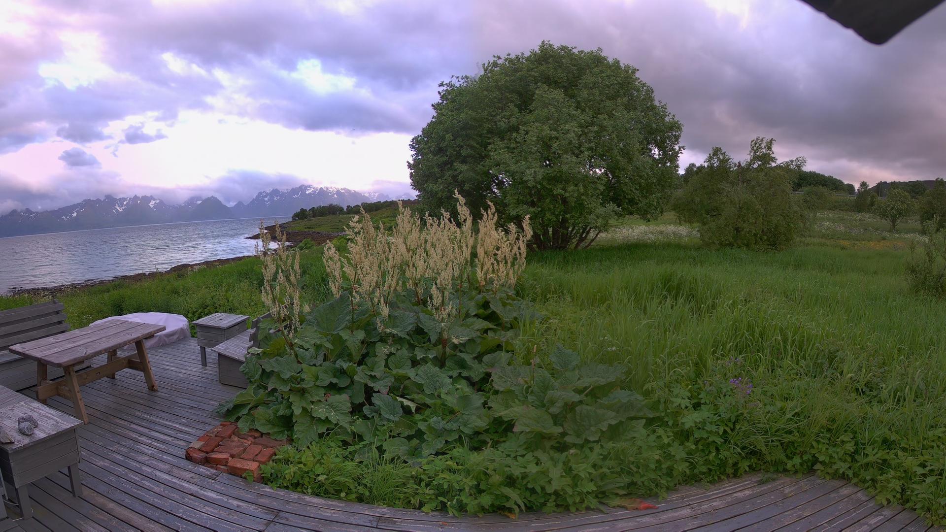 Webcam Hadselfjord, Hadsel, Nordland, Norwegen