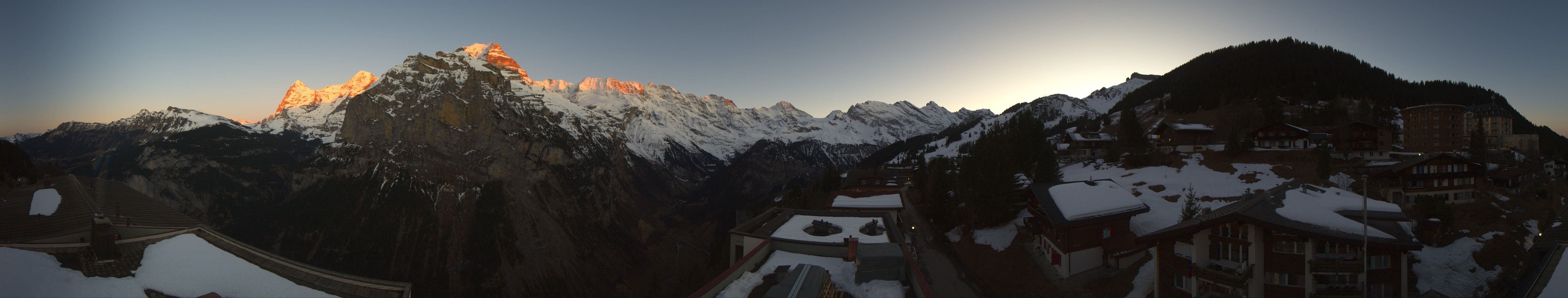Lauterbrunnen: Gruebi: Edelweiss