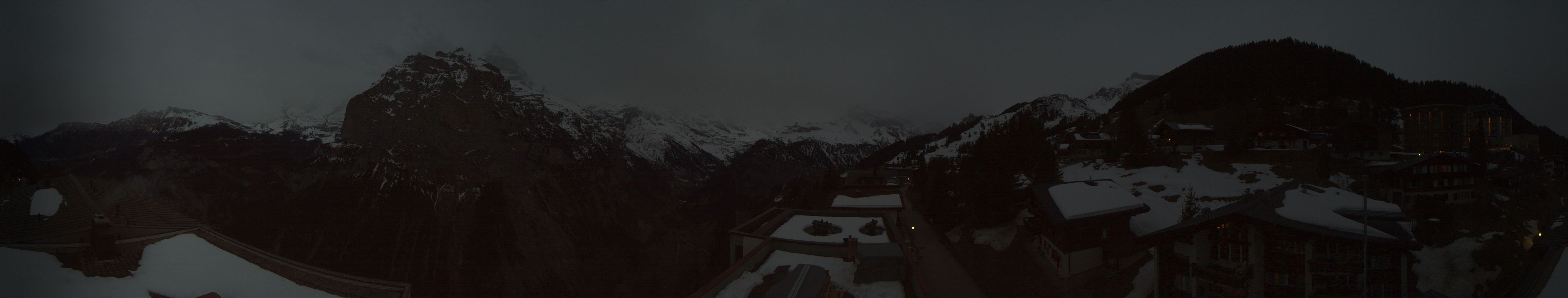 Lauterbrunnen: Gruebi: Edelweiss