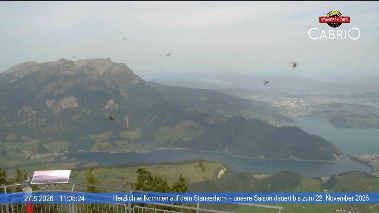 Stans: Stanserhorn - Adlerfluh (Eagle's Cliff)