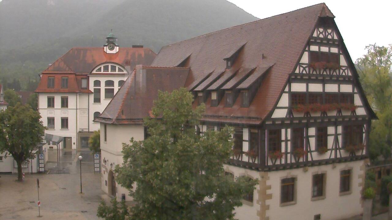 Kohlberg Webcam