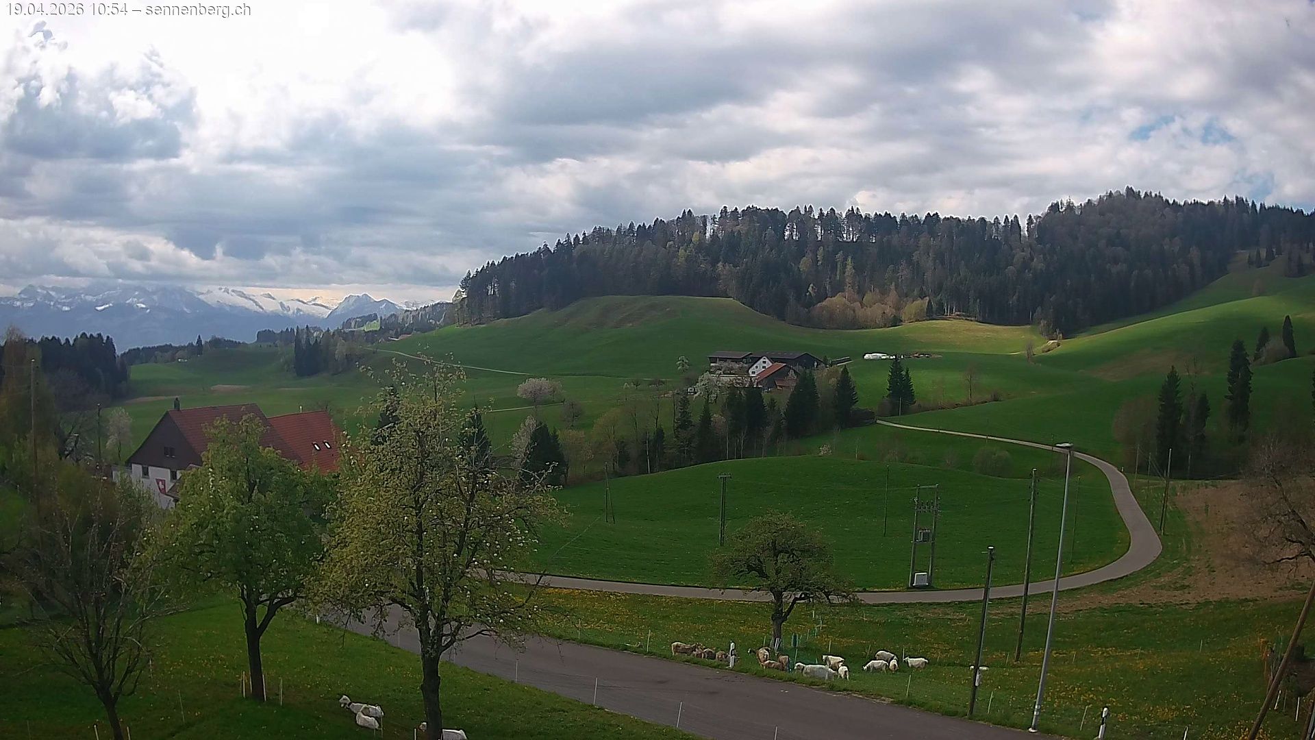 Bäretswil › Süden: Kleinbäretswil - Zurich, Switzerland