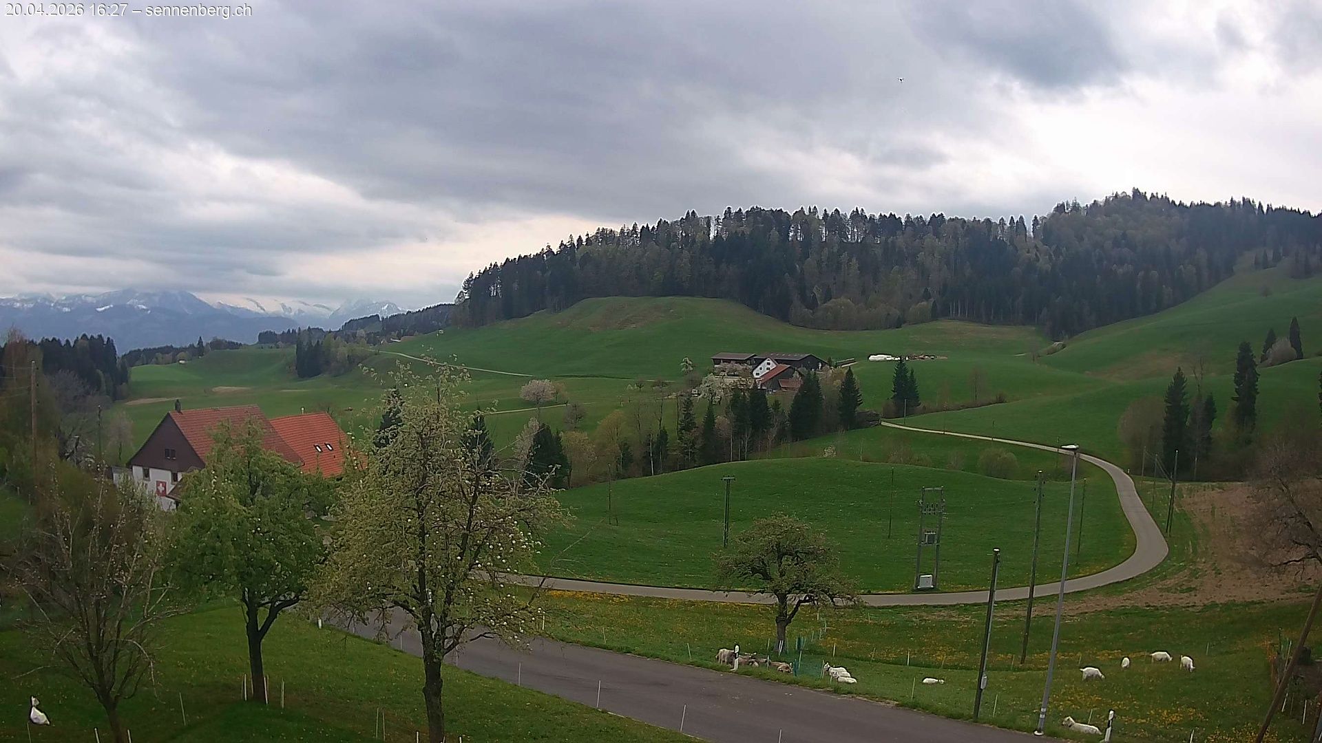 Bäretswil › Süden: Kleinbäretswil - Zurich, Switzerland