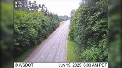 Nisqually Rail Road Traffic