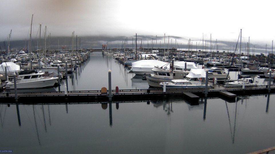 Seward webcam