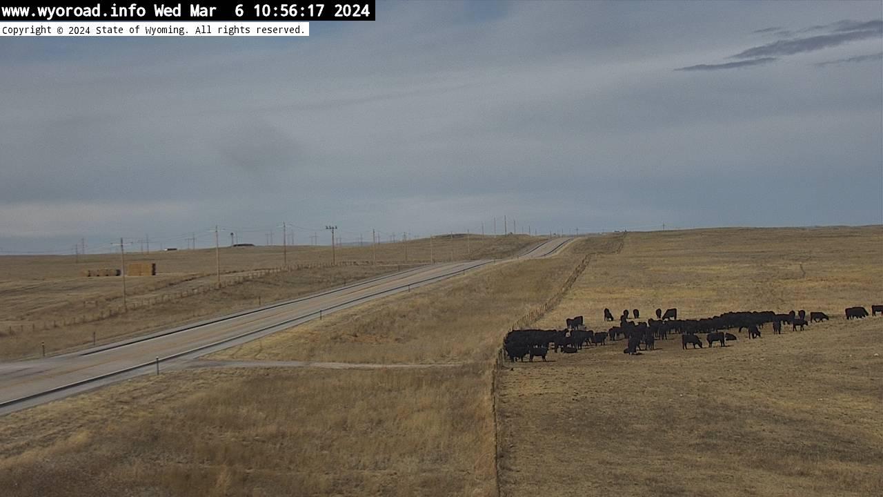 West Traffic Watch: Van Tassell Webcam
