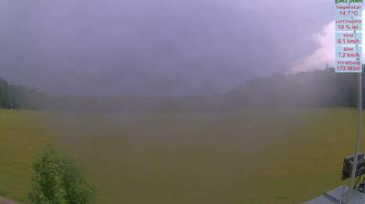 Forest: Nordic Activity & Weather