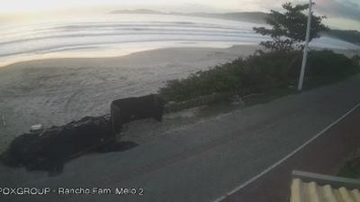Coastal Serenity