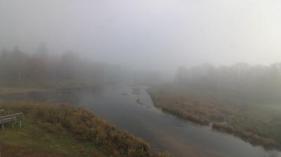 Donaueschingen Daglicht Webcam Image Donaueschingen Daglicht Webcam Image