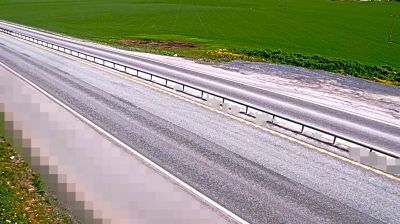 Skogn i dag