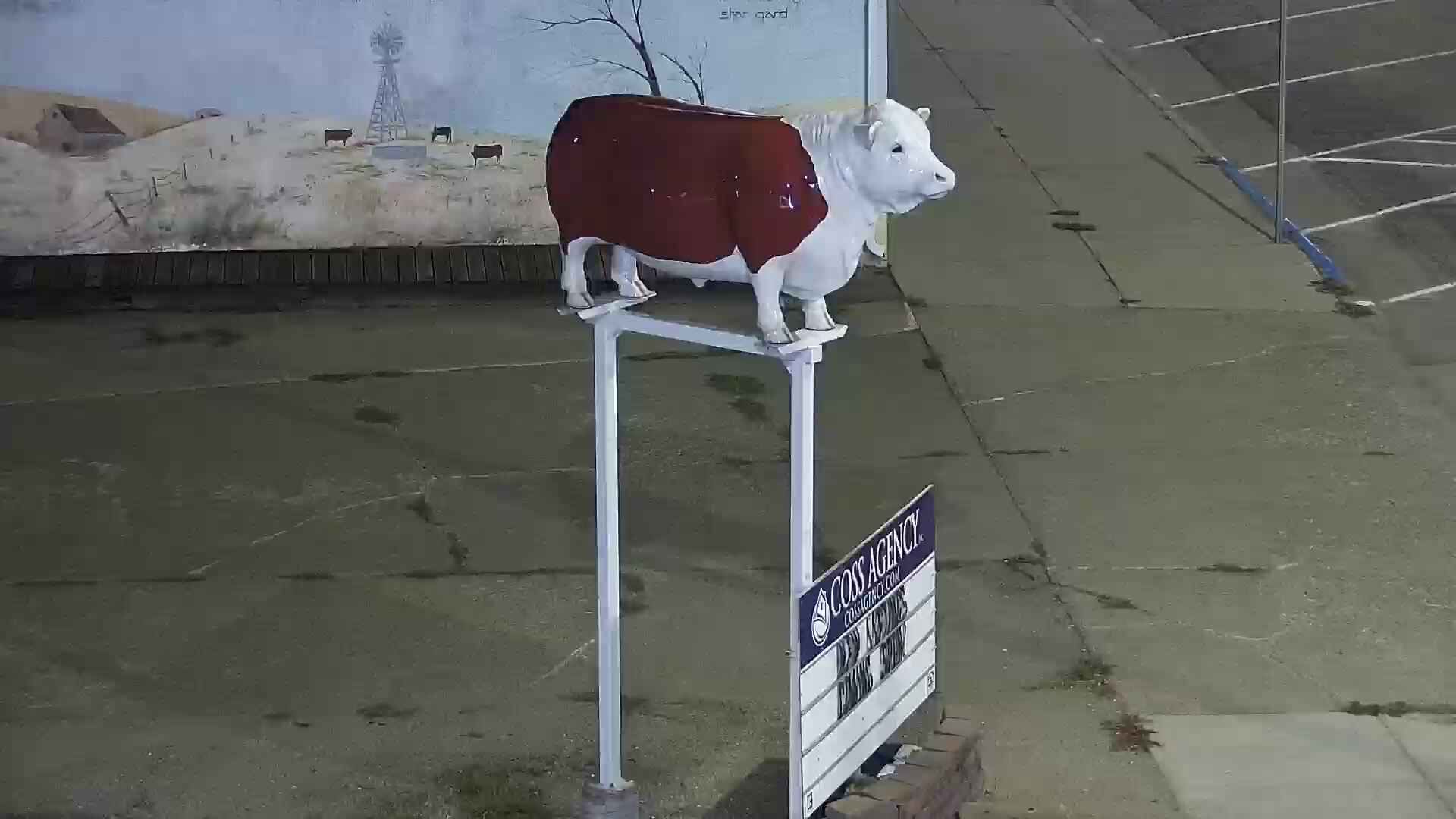 Traffic Cam Miller