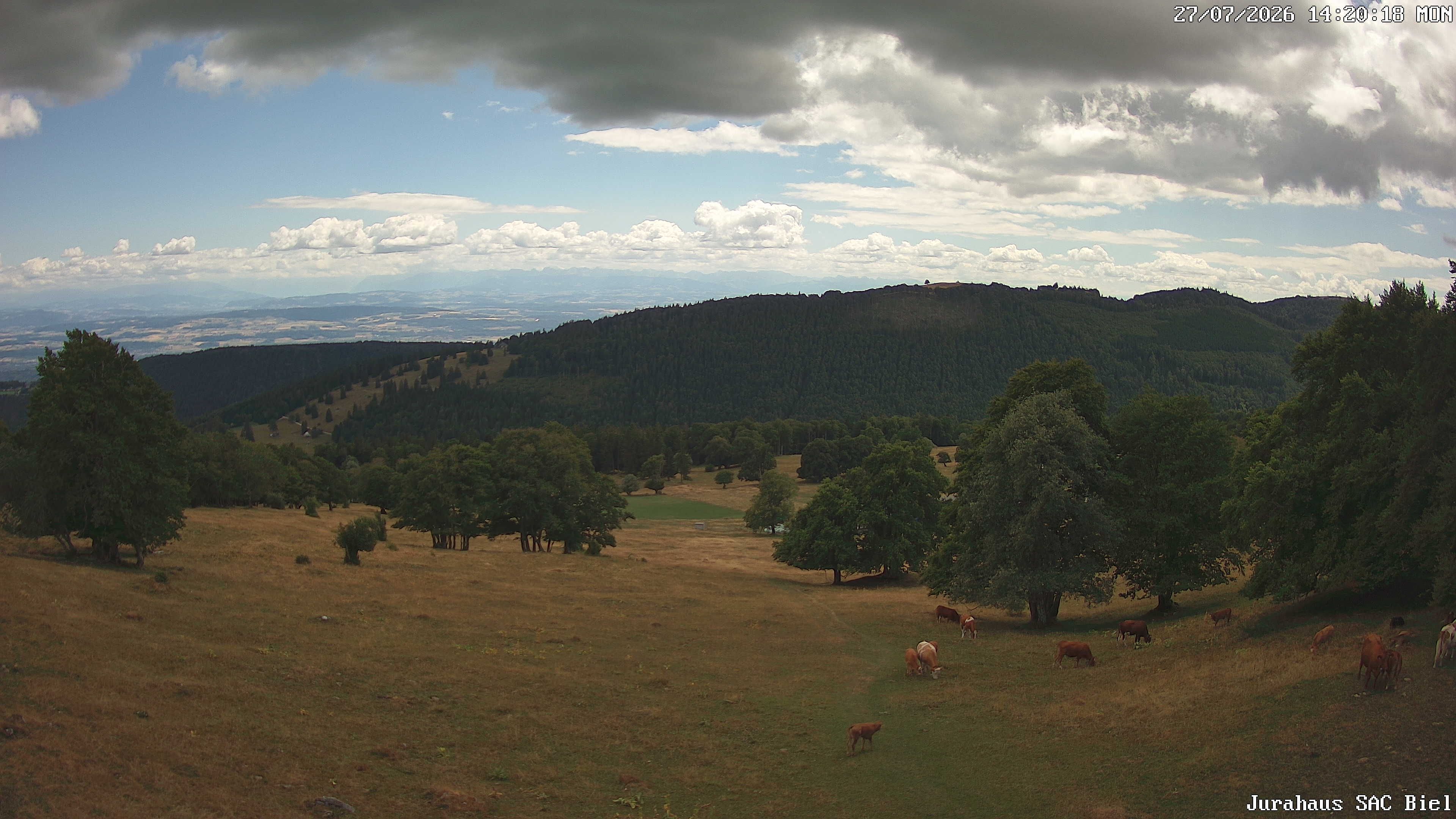 Orvin › Süden: Cabane du Jura CAS