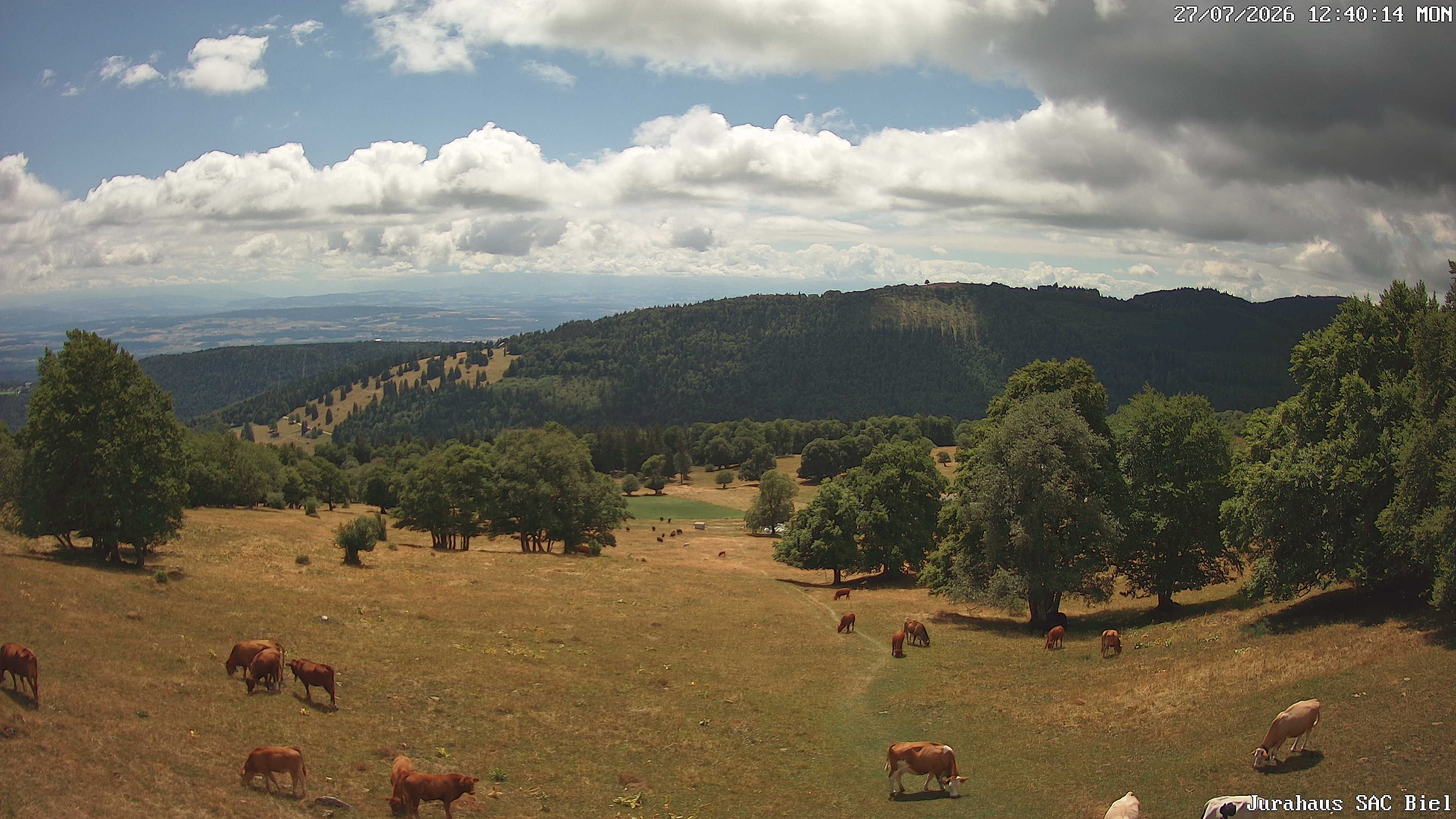 Orvin › Süden: Cabane du Jura CAS