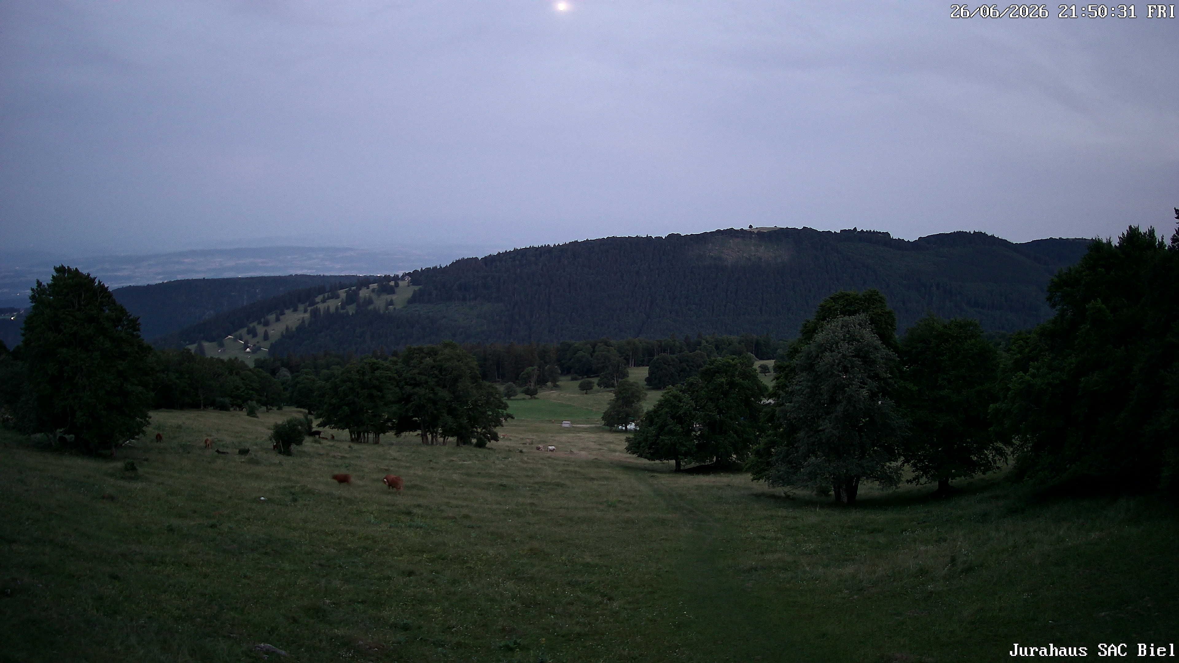 Orvin › Süden: Cabane du Jura CAS