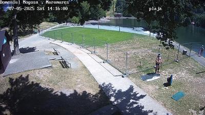 Live Domeniul Mogosa