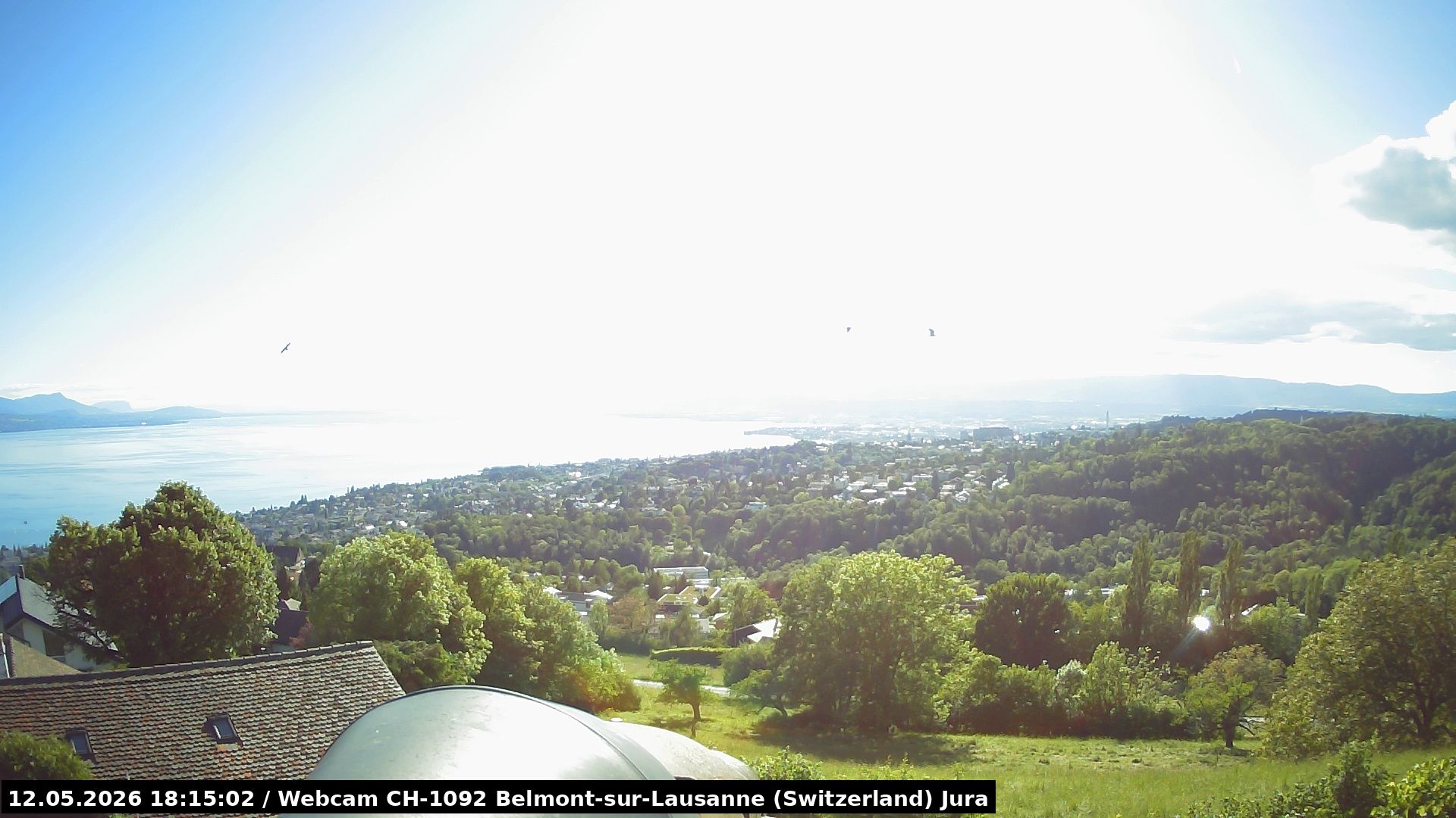Belmont: Belmon-Lausanne