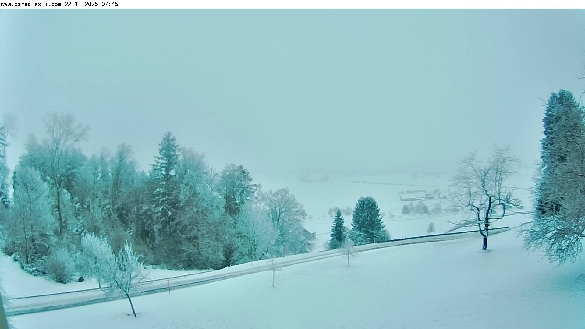 Menzingen › Norden: Schurtannen