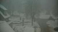 Cēsis: Cesis