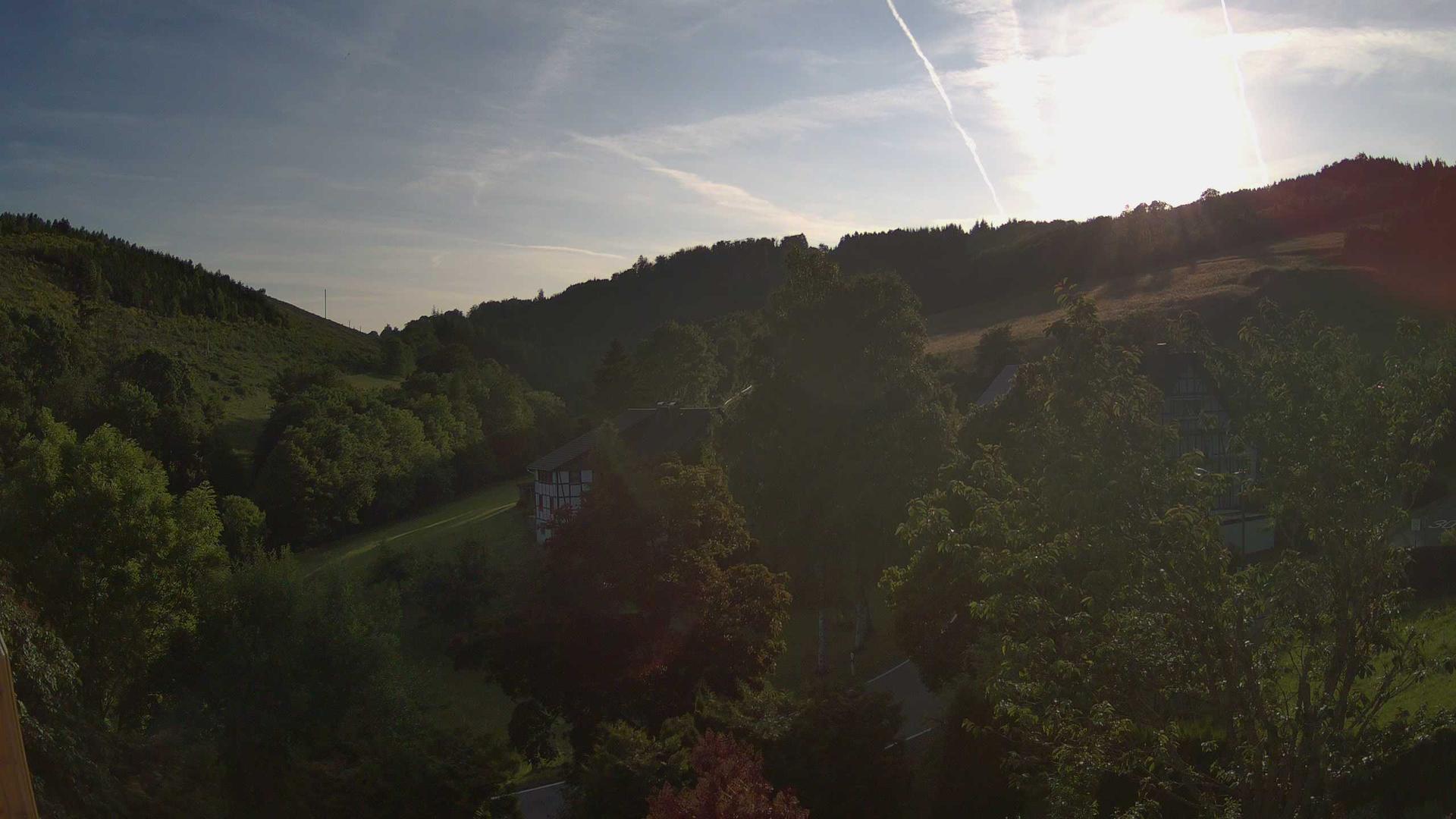 Alertshausen forest Webcam