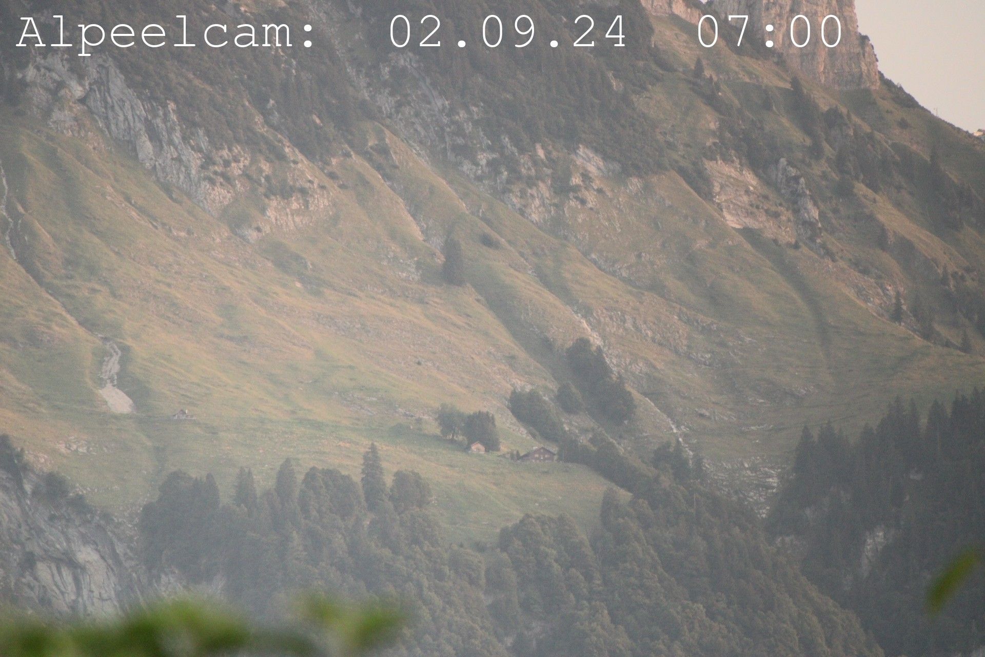 Sennwald: Alpeelcam