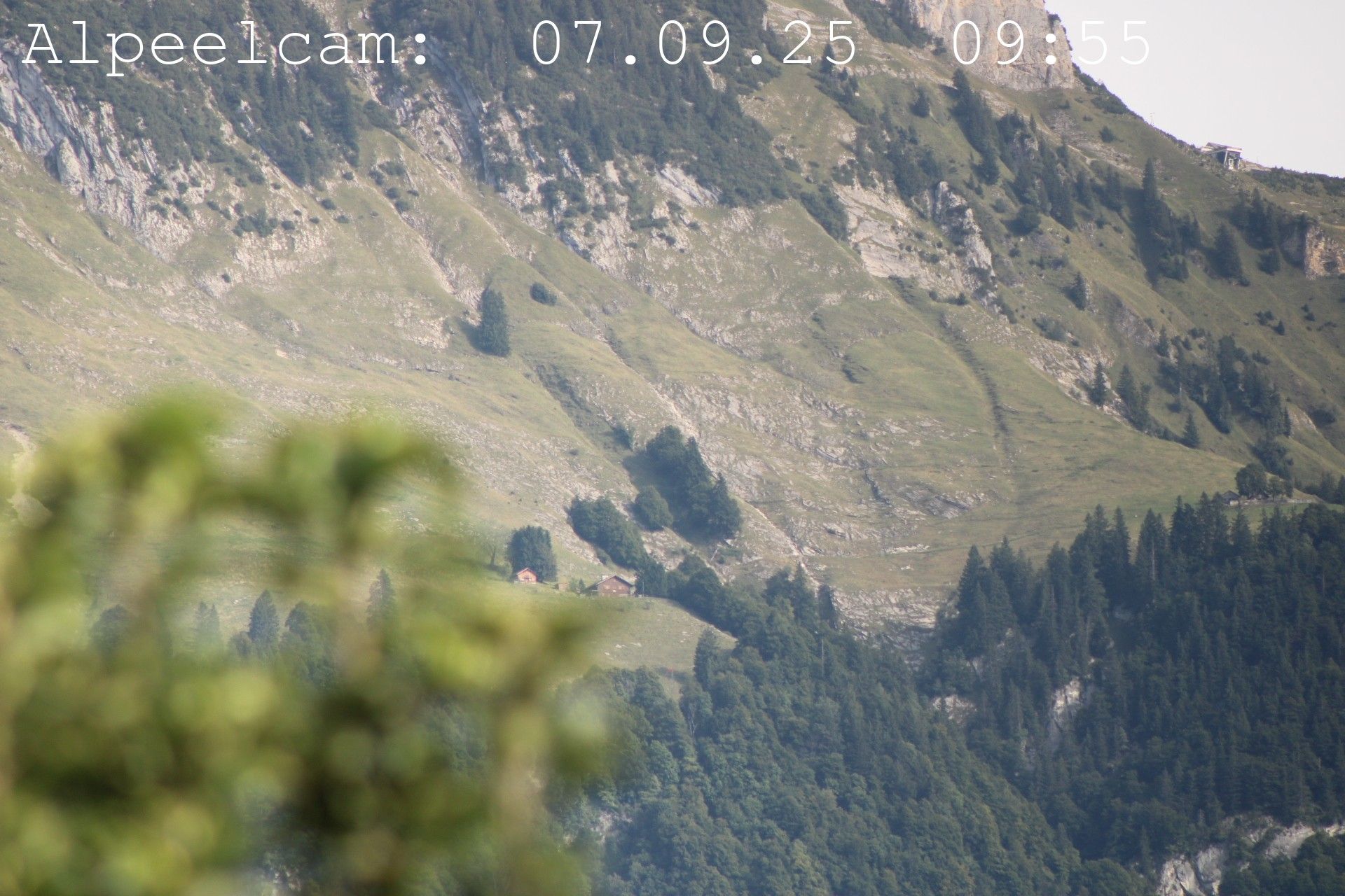 Sennwald: Alpeelcam