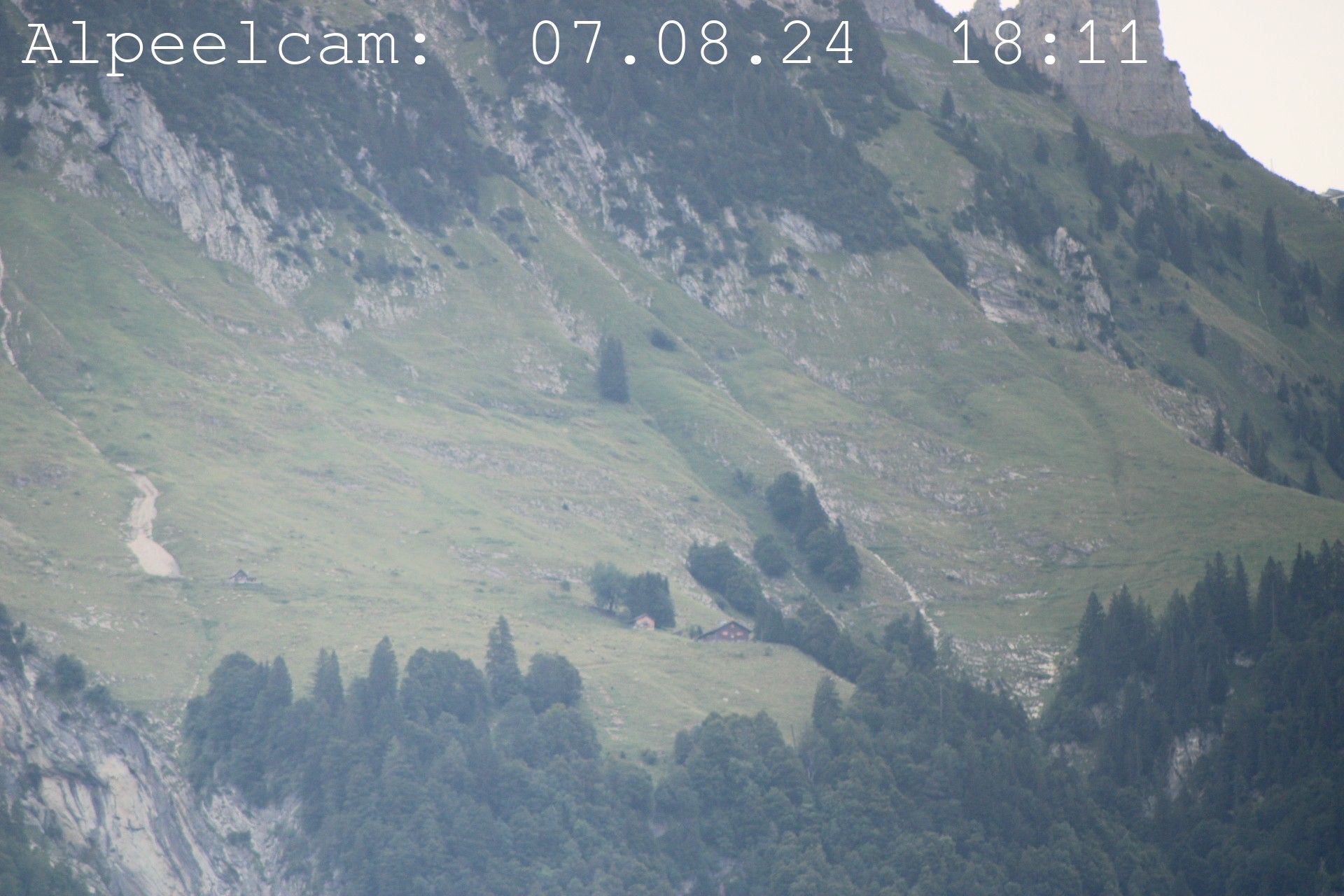 Sennwald: Alpeelcam