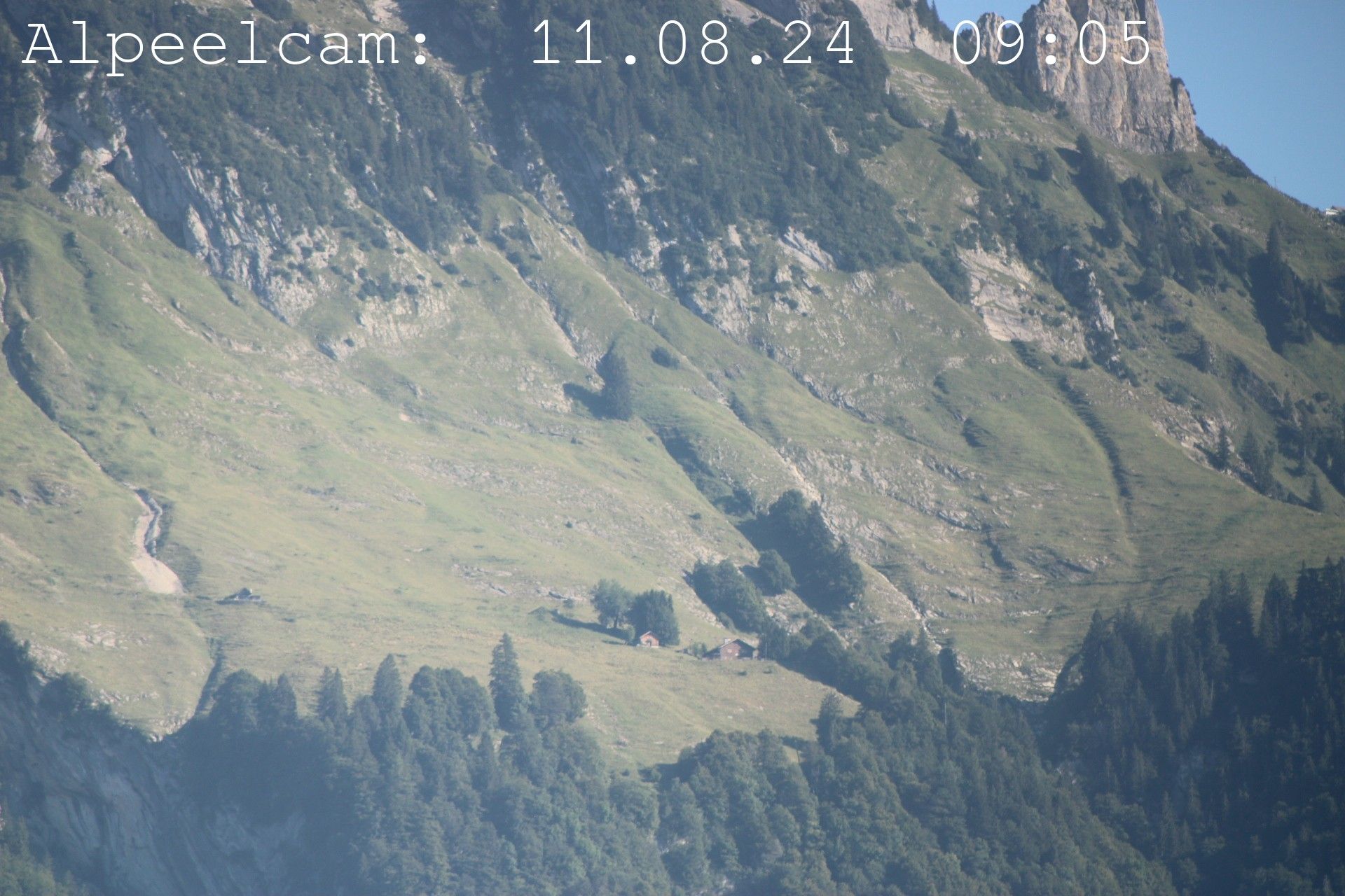 Sennwald: Alpeelcam