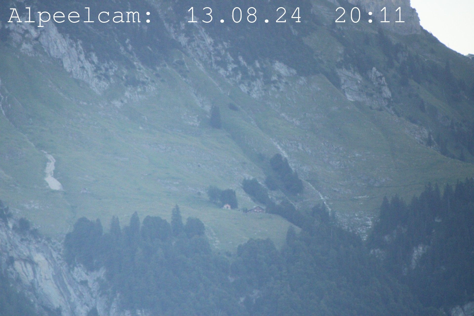 Sennwald: Alpeelcam