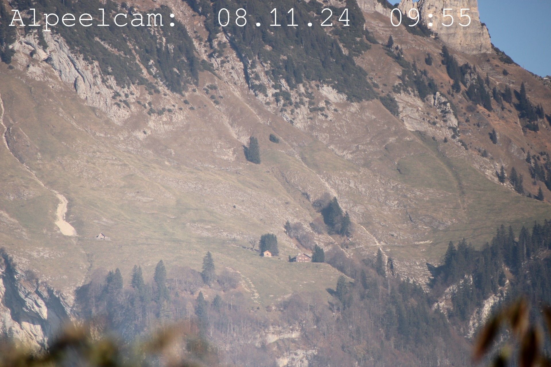 Sennwald: Alpeelcam