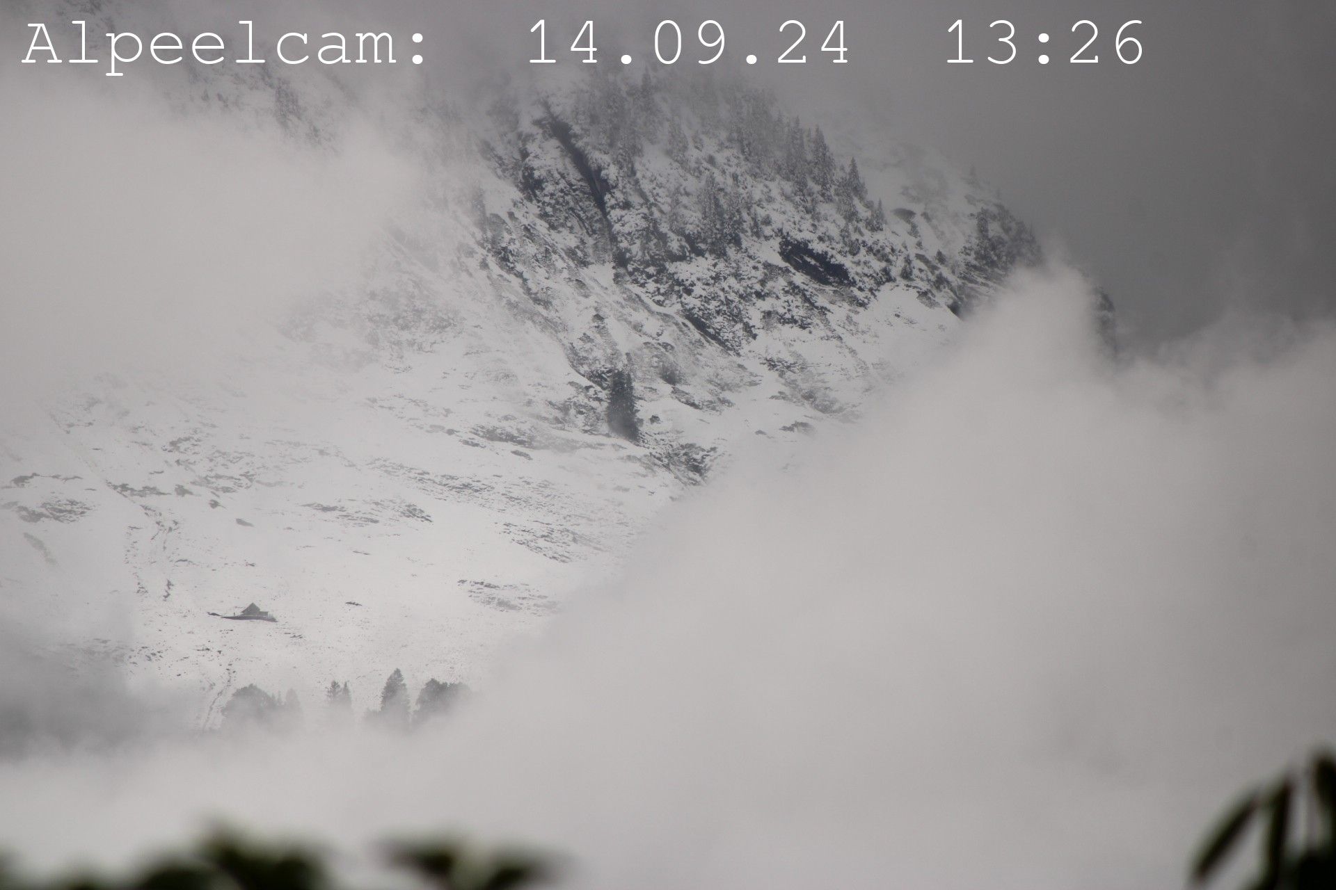 Sennwald: Alpeelcam