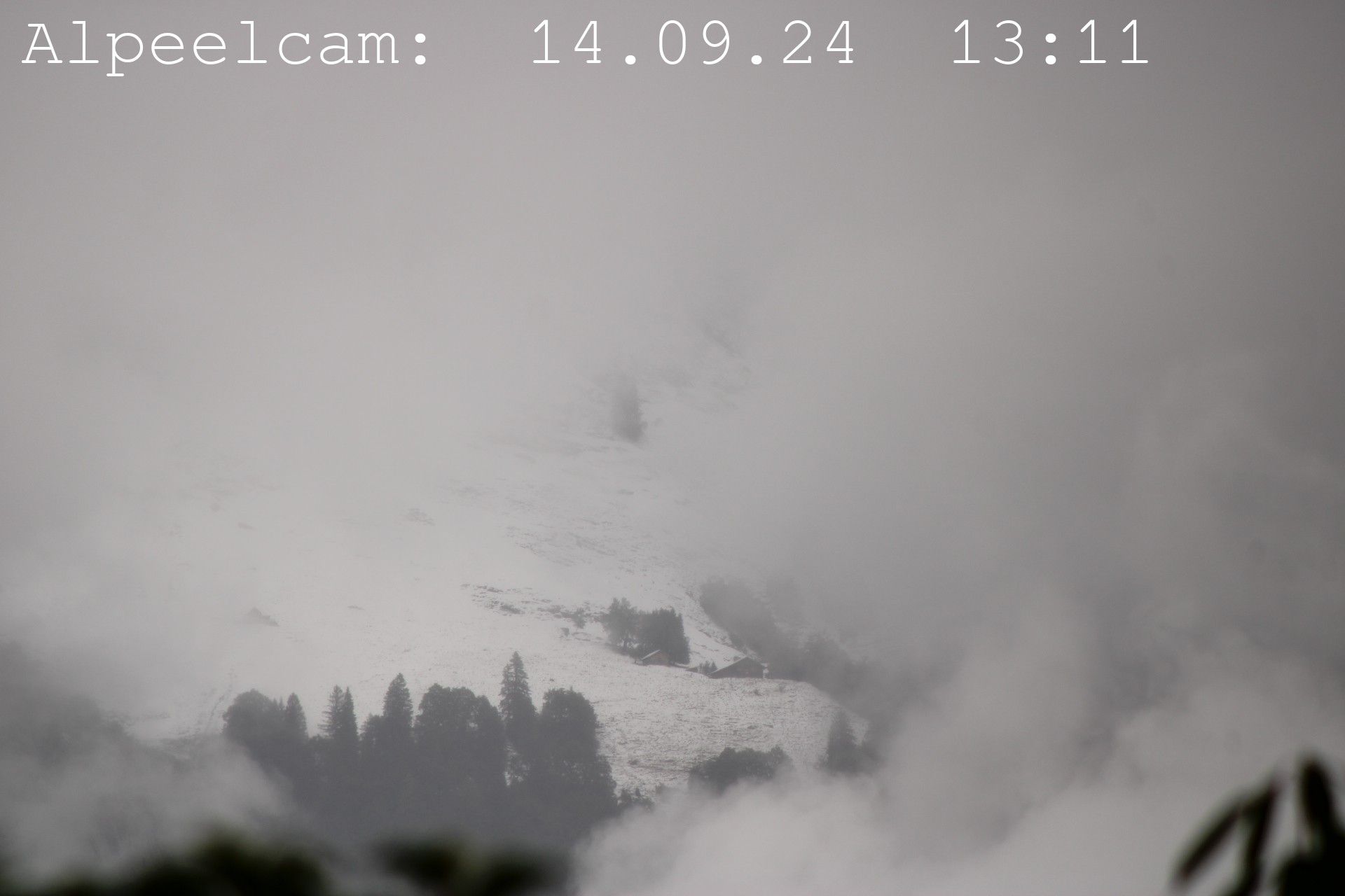 Sennwald: Alpeelcam