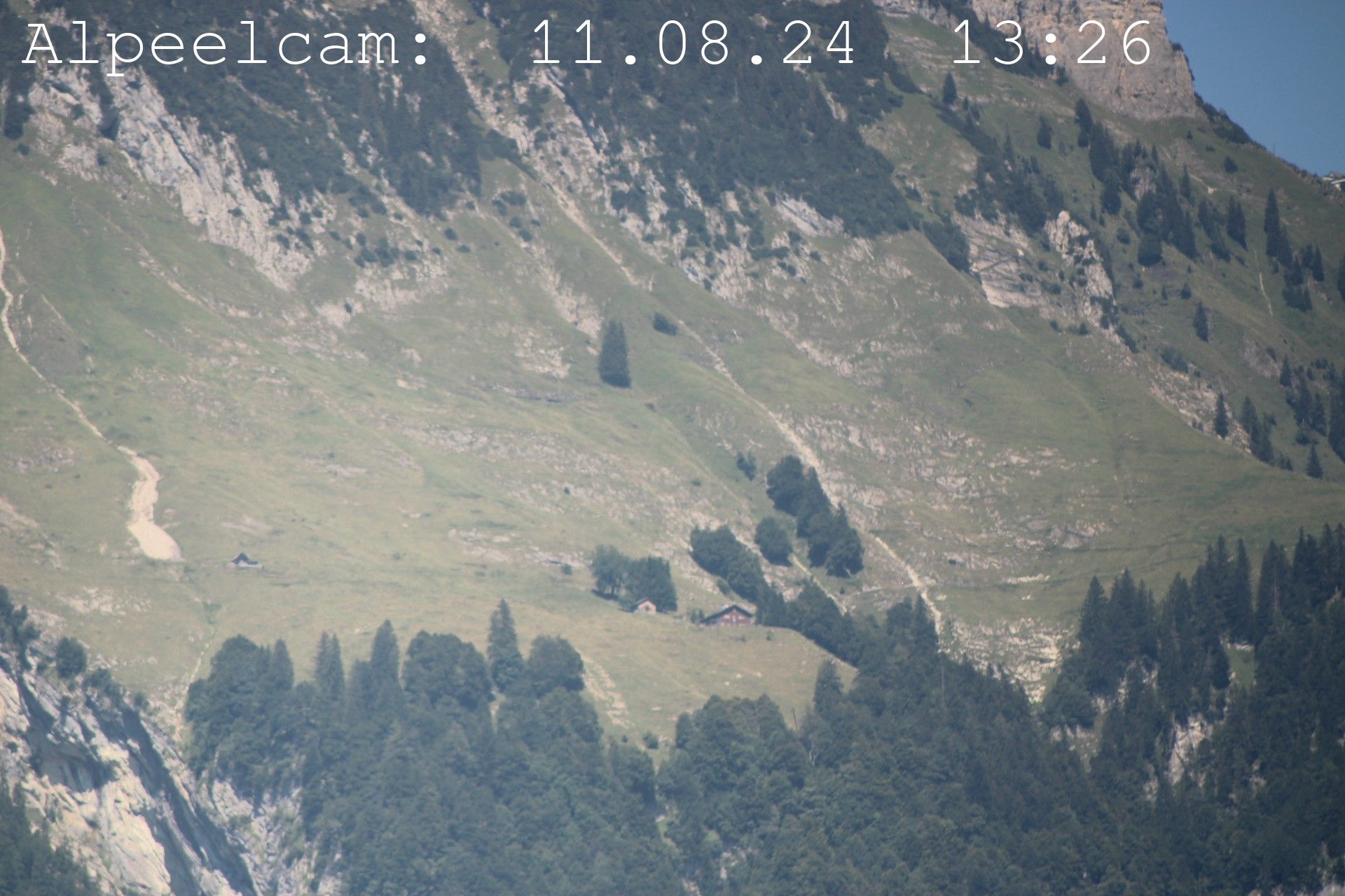 Sennwald: Alpeelcam