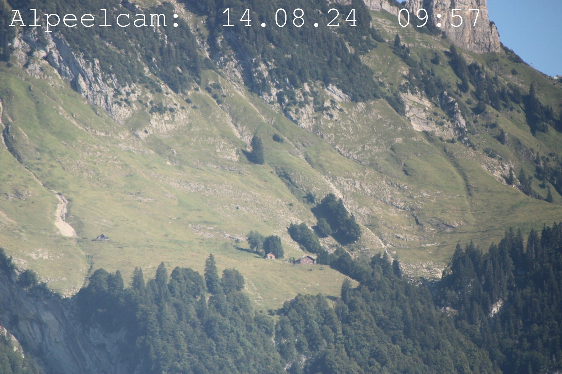 Sennwald: Alpeelcam