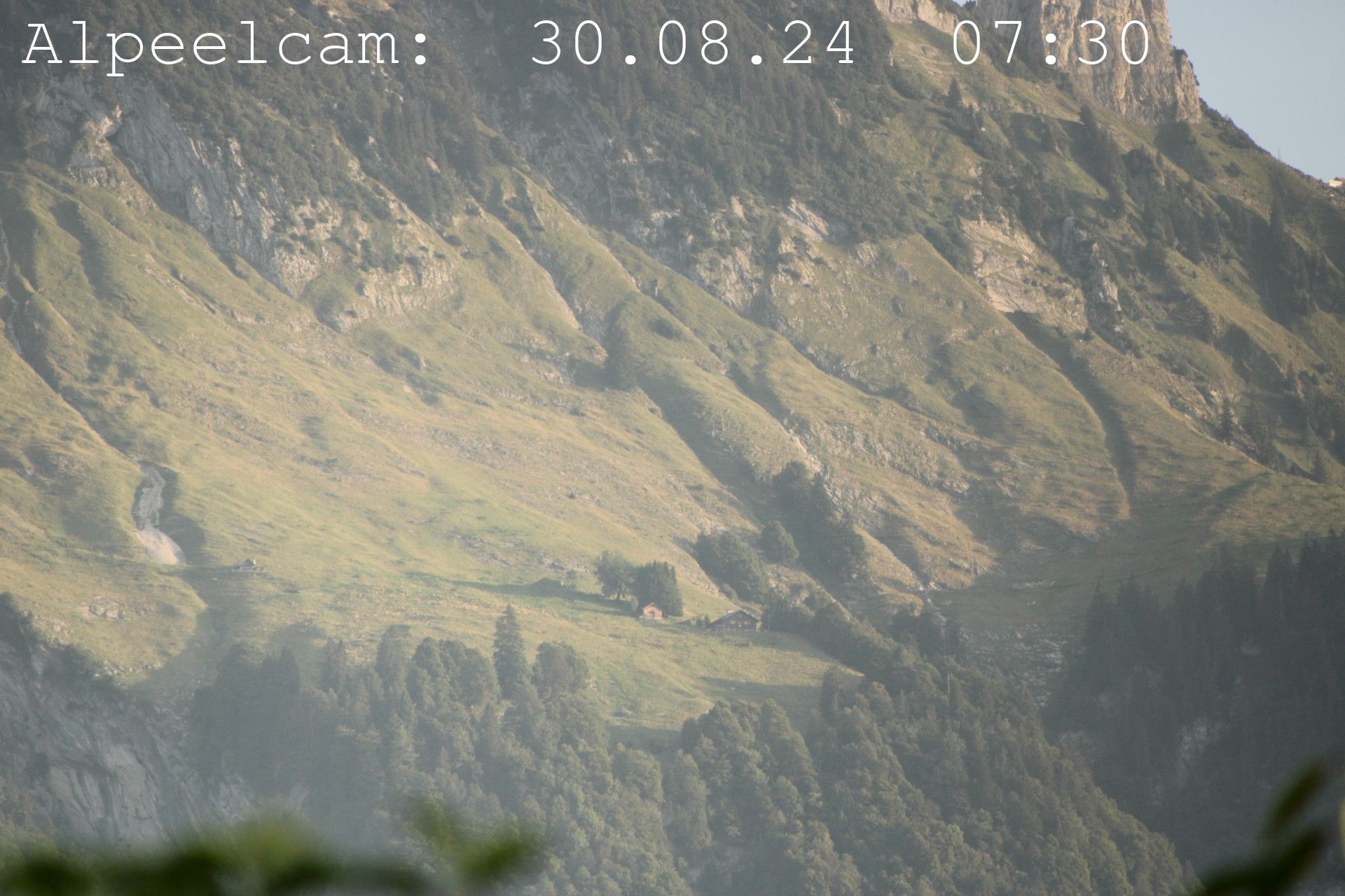 Sennwald: Alpeelcam