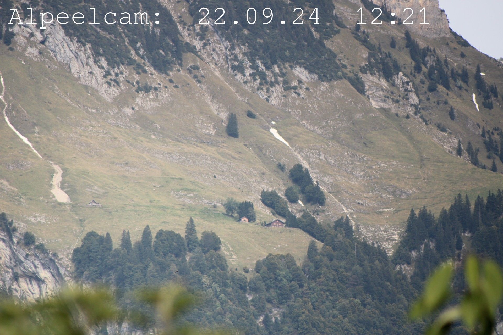 Sennwald: Alpeelcam