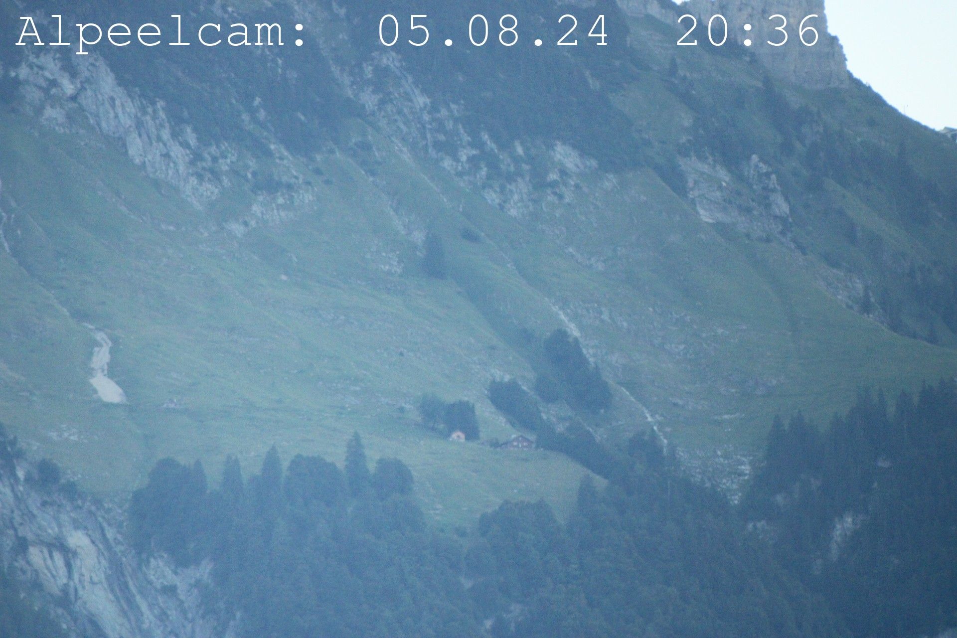 Sennwald: Alpeelcam