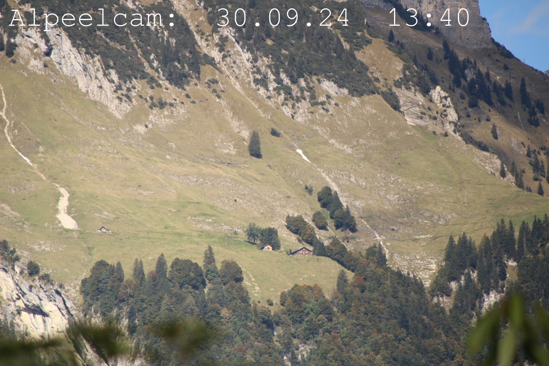 Sennwald: Alpeelcam