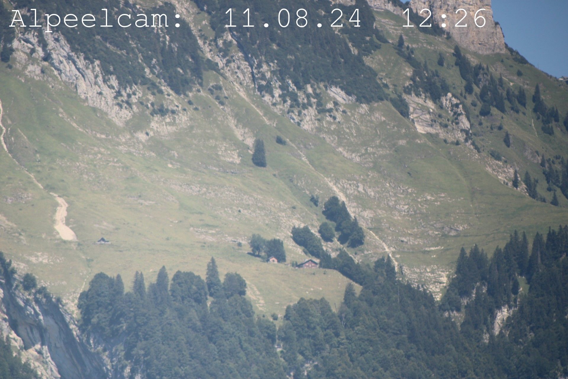 Sennwald: Alpeelcam