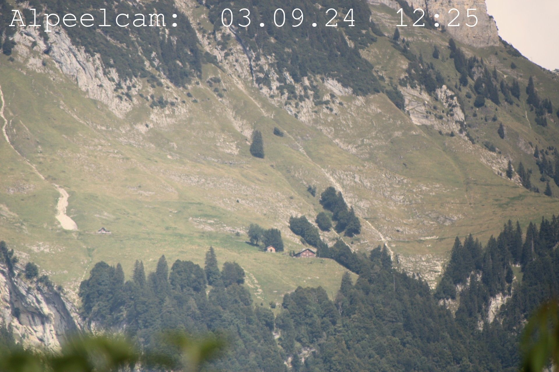 Sennwald: Alpeelcam