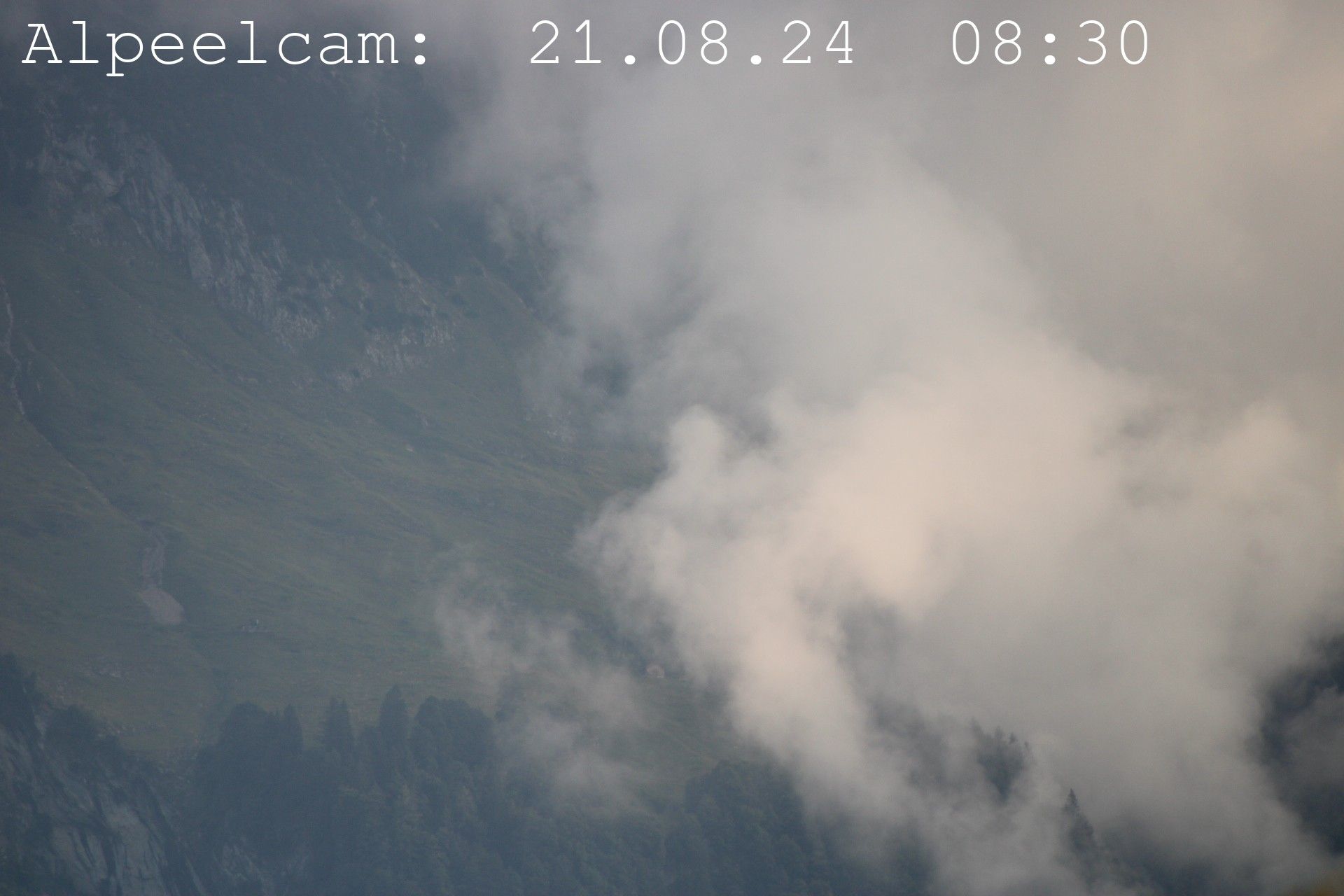 Sennwald: Alpeelcam