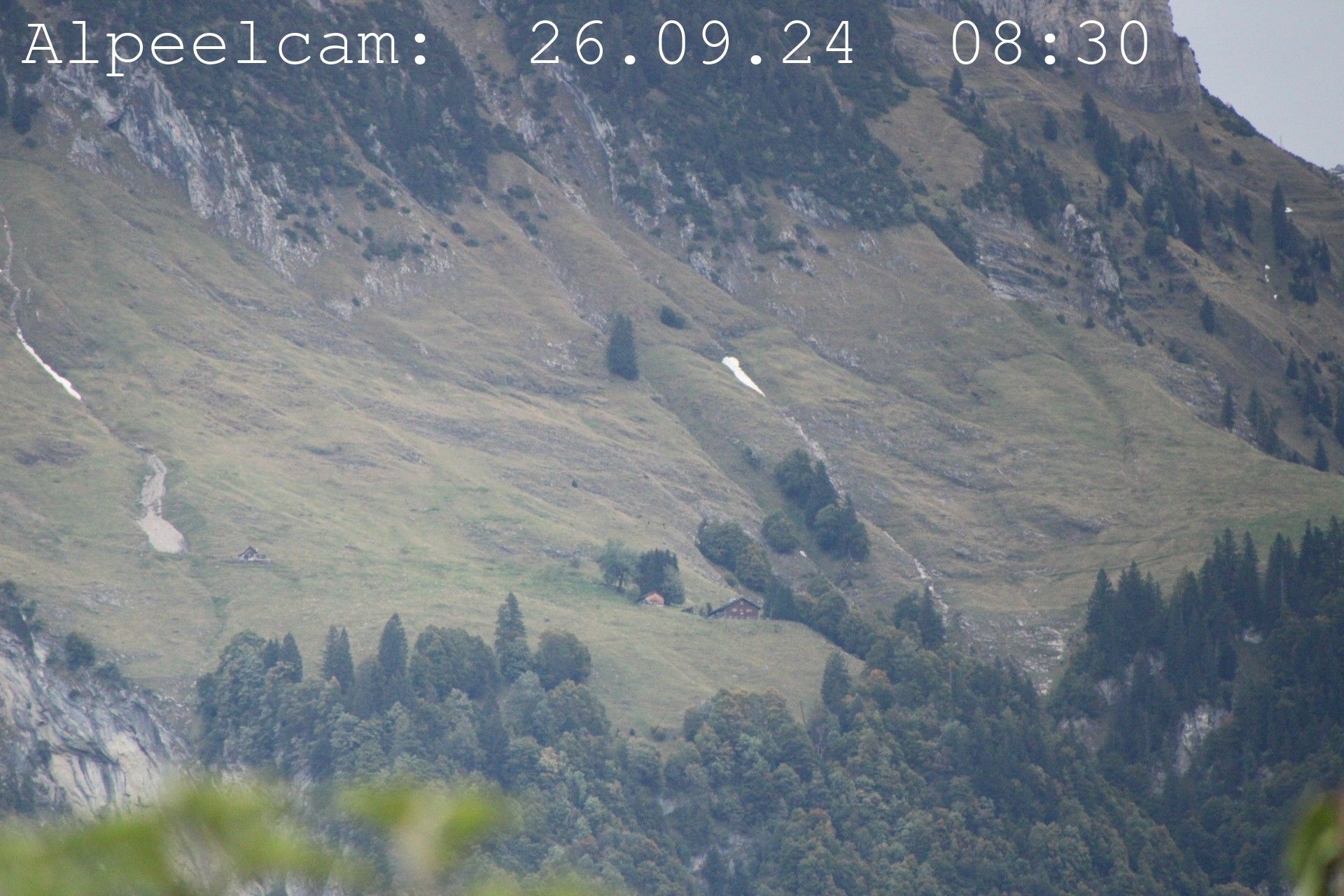 Sennwald: Alpeelcam