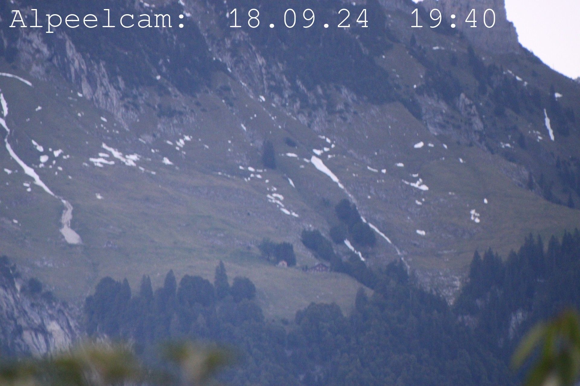 Sennwald: Alpeelcam