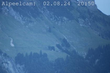 Sennwald: Alpeelcam