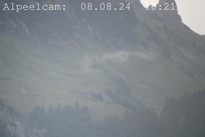 Sennwald: Alpeelcam